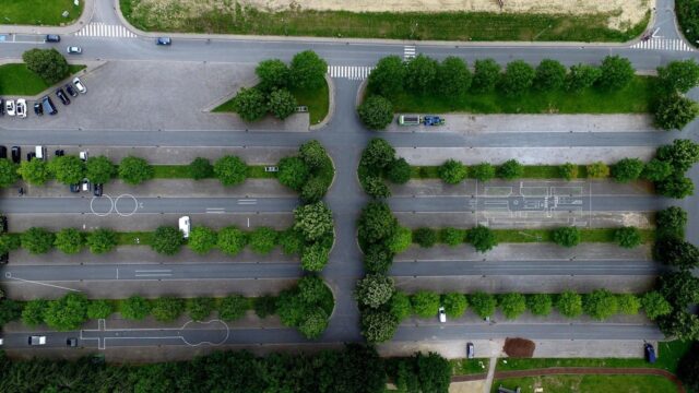 Luftaufnahme eines von Bäumen gesäumten Parkplatzes mit einzelnen abgestellten Autos